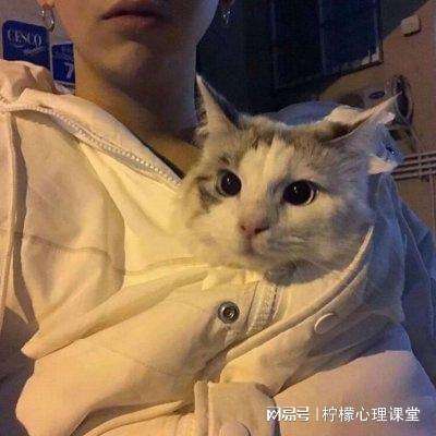 黑射击家族手游下载